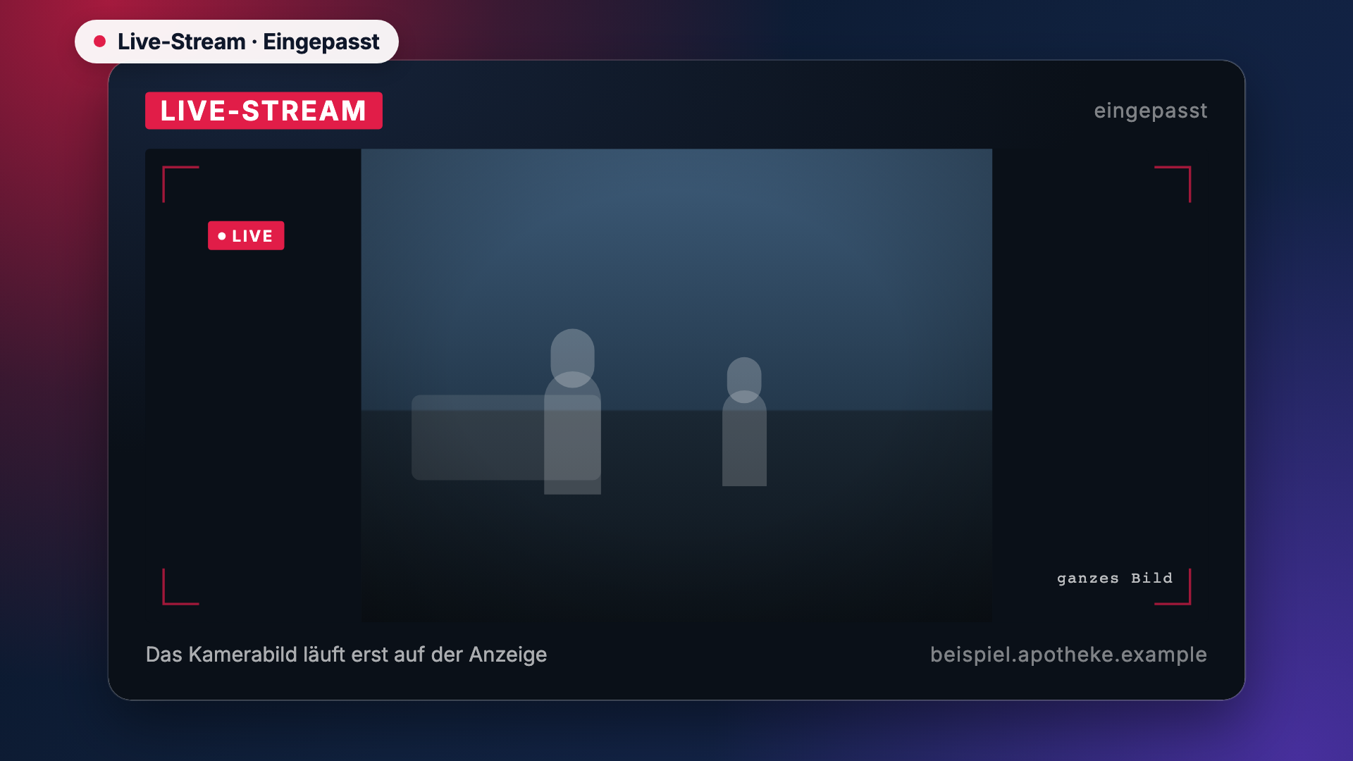 Live-Stream in der Ansicht Einpassen